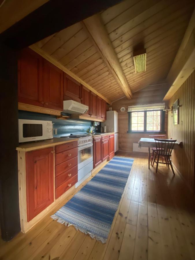 Morgedal Lavvo Camping Hotel Екстериор снимка